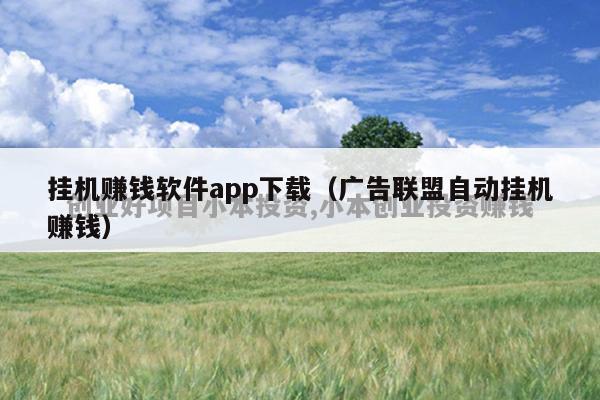 挂机赚钱软件app下载（广告联盟自动挂机赚钱）