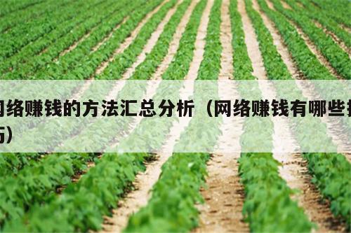网络赚钱的方法汇总分析（网络赚钱有哪些技巧）