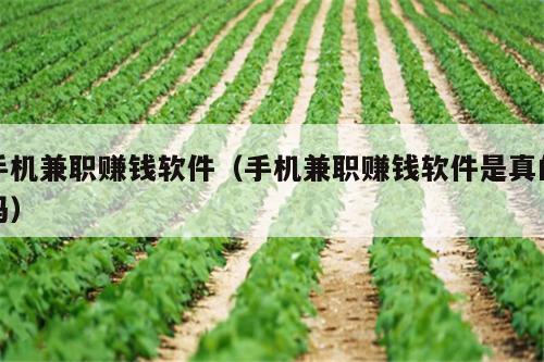 详细阅读:手机兼职赚钱软件(手机兼职赚钱软件是真的吗) 手机兼职赚钱软件(手机兼职赚钱软件是真的吗)