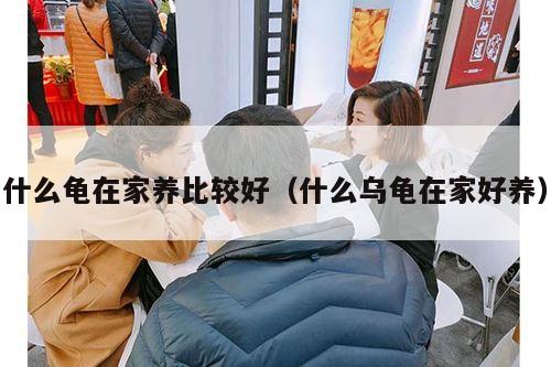 什么龟在家养比较好（什么乌龟在家好养）