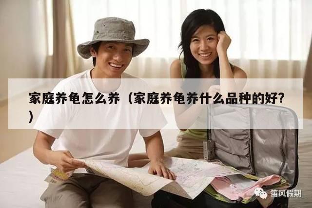 家庭养龟怎么养（家庭养龟养什么品种的好?）