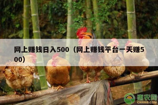 网上赚钱日入500（网上赚钱平台一天赚500）