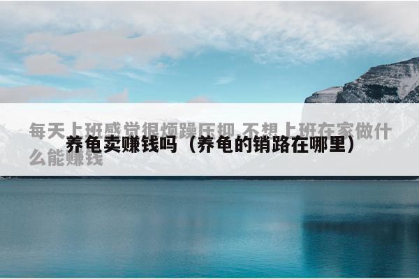 养龟卖赚钱吗（养龟的销路在哪里）