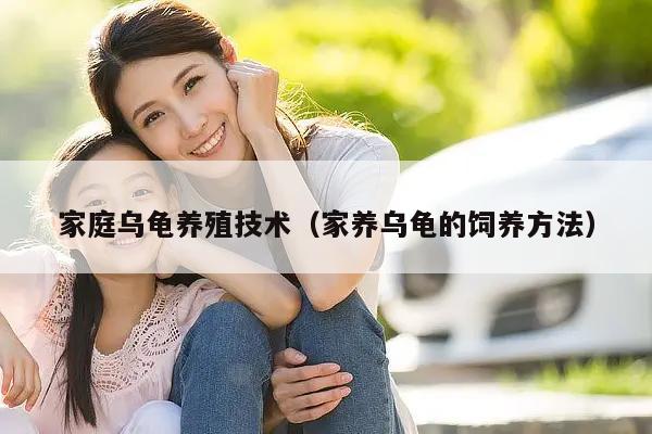 家庭乌龟养殖技术（家养乌龟的饲养方法）