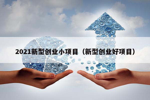 2021新型创业小项目（新型创业好项目）