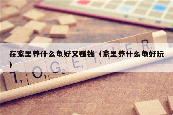 在家里养什么龟好又赚钱（家里养什么龟好玩）