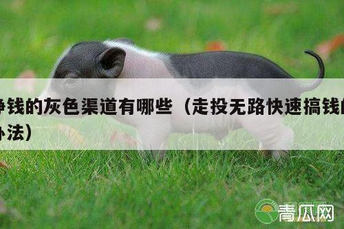 挣钱的灰色渠道有哪些（走投无路快速搞钱的办法）