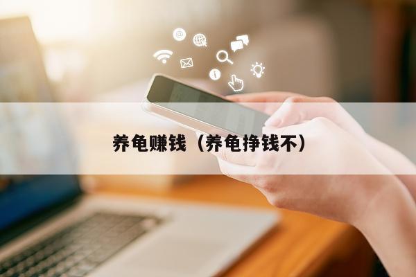 养龟赚钱（养龟挣钱不）