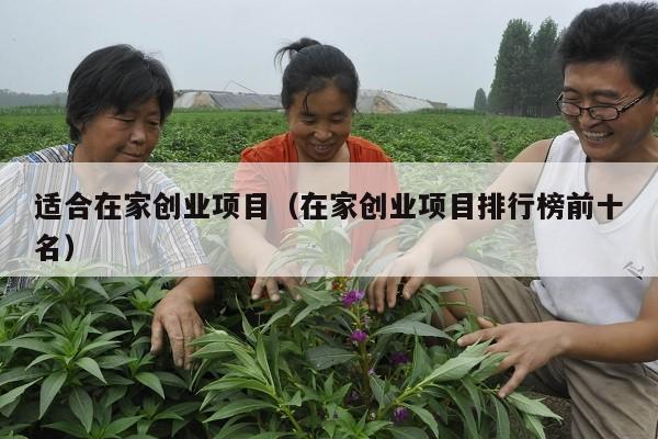 适合在家创业项目(在家创业项目排行榜前十名)
