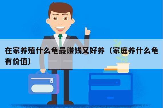 在家养殖什么龟最赚钱又好养（家庭养什么龟有价值）