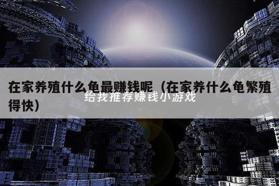 在家养殖什么龟最赚钱呢(在家养什么龟繁殖得快)