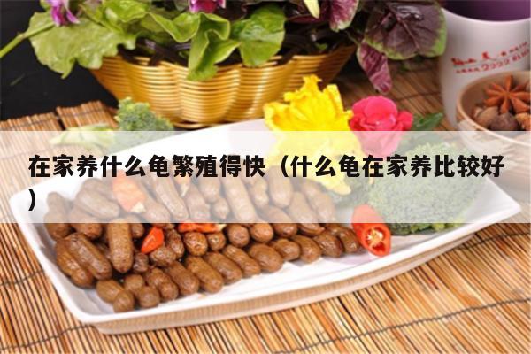 在家养什么龟繁殖得快（什么龟在家养比较好）