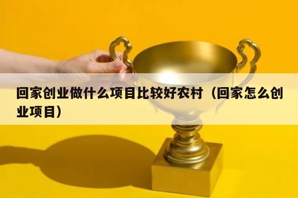回家创业做什么项目比较好农村(回家怎么创业项目)