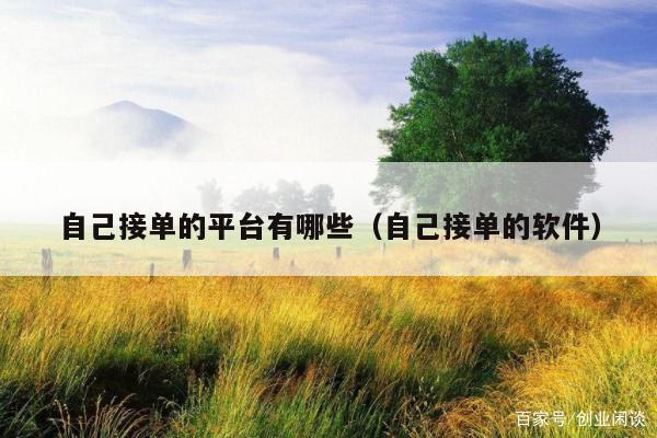 自己接单的平台有哪些（自己接单的软件）