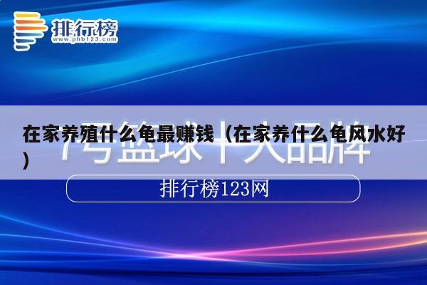 在家养殖什么龟最赚钱(在家养什么龟风水好)