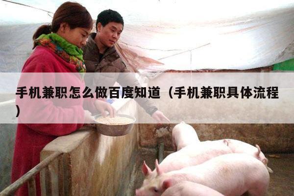 手机兼职怎么做百度知道（手机兼职具体流程）