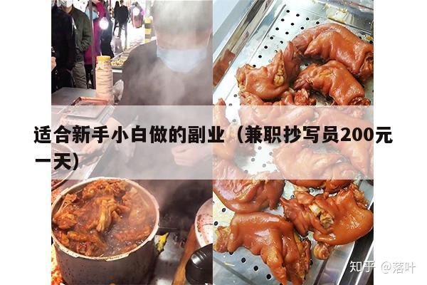适合新手小白做的副业(兼职抄写员200元一天)