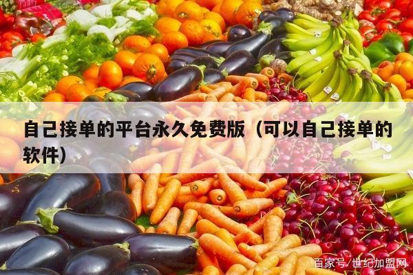 自己接单的平台永久免费版（可以自己接单的软件）