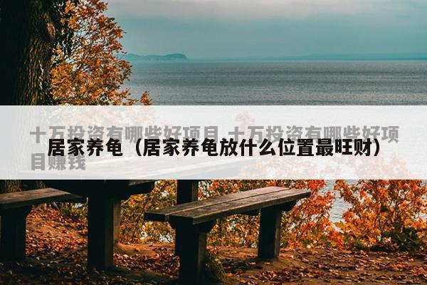 居家养龟（居家养龟放什么位置最旺财）