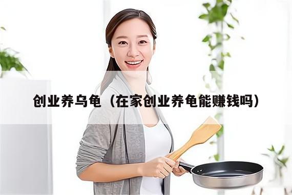 创业养乌龟（在家创业养龟能赚钱吗）