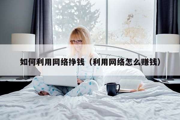 如何利用网络挣钱（利用网络怎么赚钱）