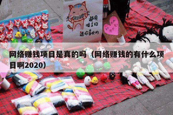 网络赚钱项目是真的吗（网络赚钱的有什么项目啊2020）