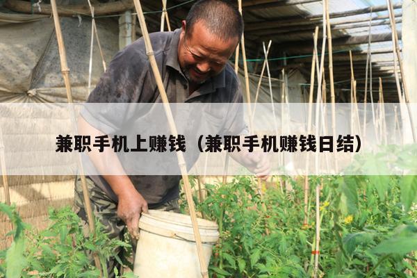 兼职手机上赚钱（兼职手机赚钱日结）