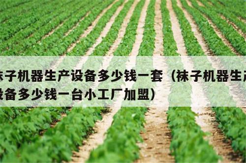 袜子机器生产设备多少钱一套（袜子机器生产设备多少钱一台小工厂加盟）