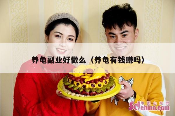 养龟副业好做么（养龟有钱赚吗）