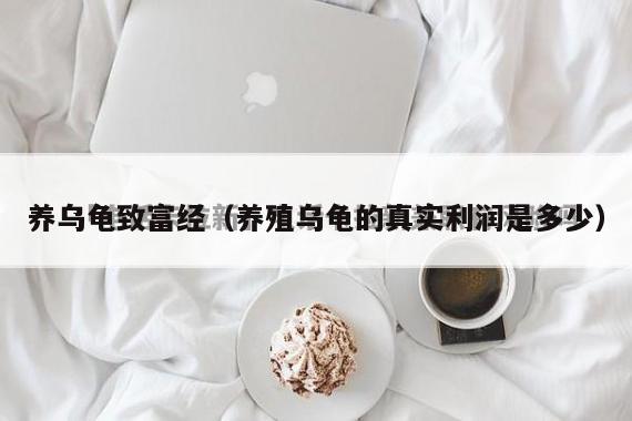 养乌龟致富经（养殖乌龟的真实利润是多少）