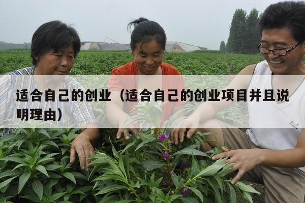 适合自己的创业（适合自己的创业项目并且说明理由）
