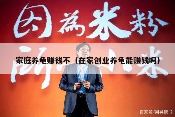 家庭养龟赚钱不（在家创业养龟能赚钱吗）